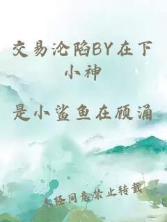 交易沦陷BY在下小神