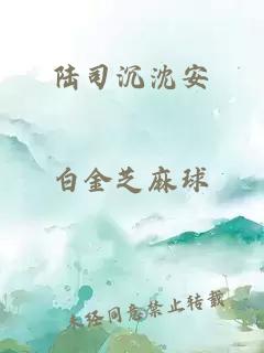 陆司沉沈安