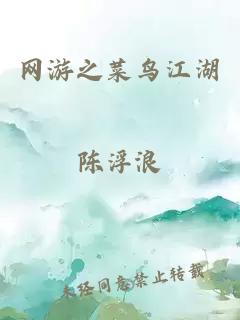 网游之菜鸟江湖