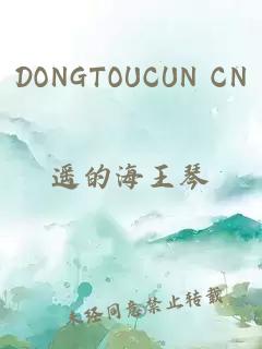 DONGTOUCUN CN