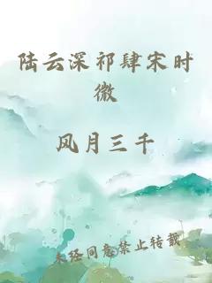 陆云深祁肆宋时微