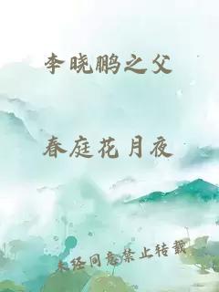 李晓鹏之父