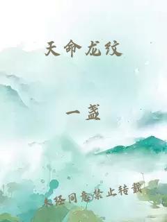 天命龙纹