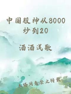 中国股神从8000炒到20