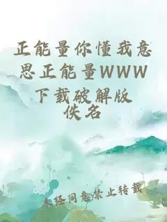 正能量你懂我意思正能量WWW下载破解版