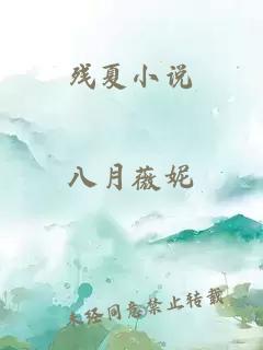 残夏小说