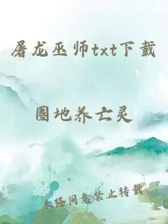 屠龙巫师txt下载