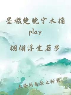 墨燃楚晚宁木桶play