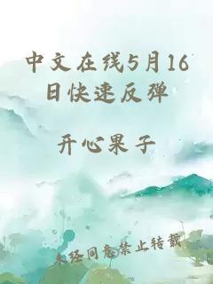 中文在线5月16日快速反弹