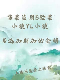 售票员用B验票小镇YL小镇