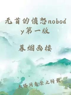 元首的愤怒nobody第一版