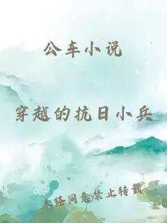 公车小说