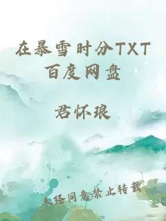 在暴雪时分TXT百度网盘