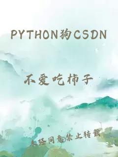 PYTHON狗CSDN