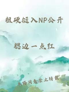 粗硬挺入NP公开