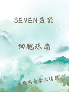 SEVEN监禁