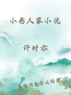 小巷人家小说