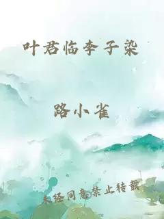 叶君临李子染