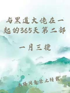 与黑道大佬在一起的365天第二部