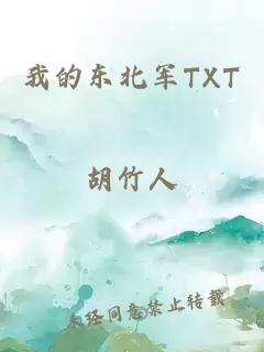 我的东北军TXT