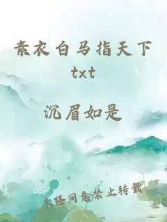 素衣白马指天下txt