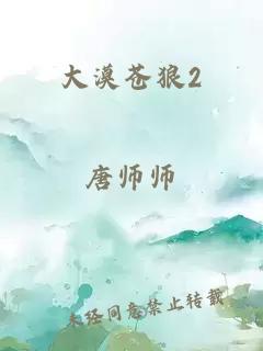 大漠苍狼2