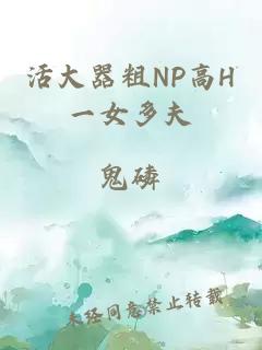 活大器粗NP高H一女多夫