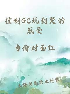 控制GC玩到哭的感受