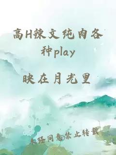 高H辣文纯肉各种play