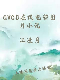 QVOD在线电影图片小说