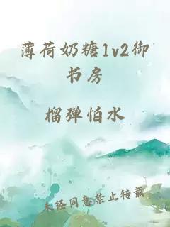 薄荷奶糖1v2御书房