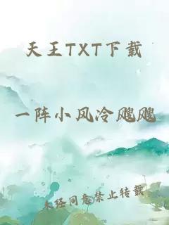 天王TXT下载