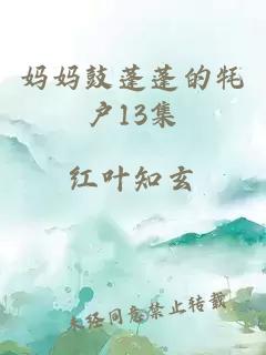 妈妈鼓蓬蓬的牦户13集