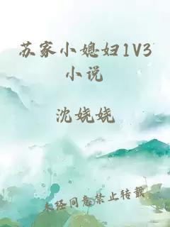 苏家小媳妇1V3小说