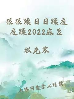 狠狠躁日日躁夜夜躁2022麻豆