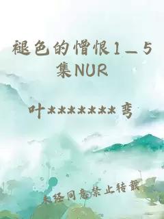 褪色的憎恨1—5集NUR