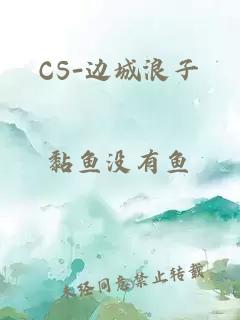 CS-边城浪子