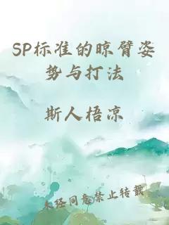 SP标准的晾臂姿势与打法