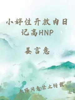 小婷性开放肉日记高HNP