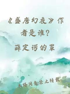 《盛唐幻夜》作者是谁?