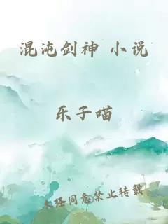 混沌剑神 小说