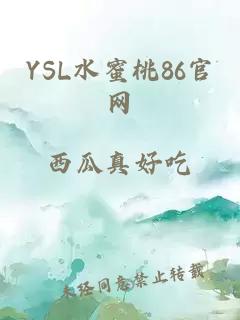 YSL水蜜桃86官网