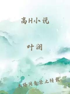 高H小说