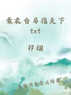 素衣白马指天下txt