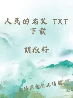 人民的名义 TXT 下载