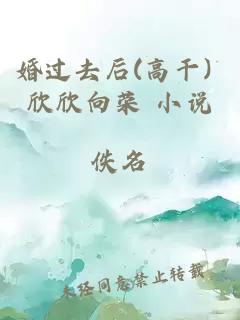 婚过去后(高干) 欣欣向荣 小说