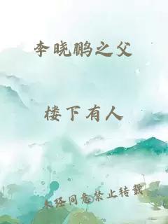 李晓鹏之父