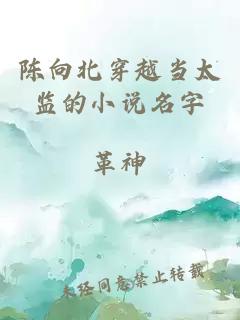 陈向北穿越当太监的小说名字