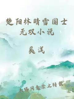 楚阳林晴雪国士无双小说