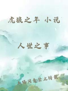 虎狼之年 小说